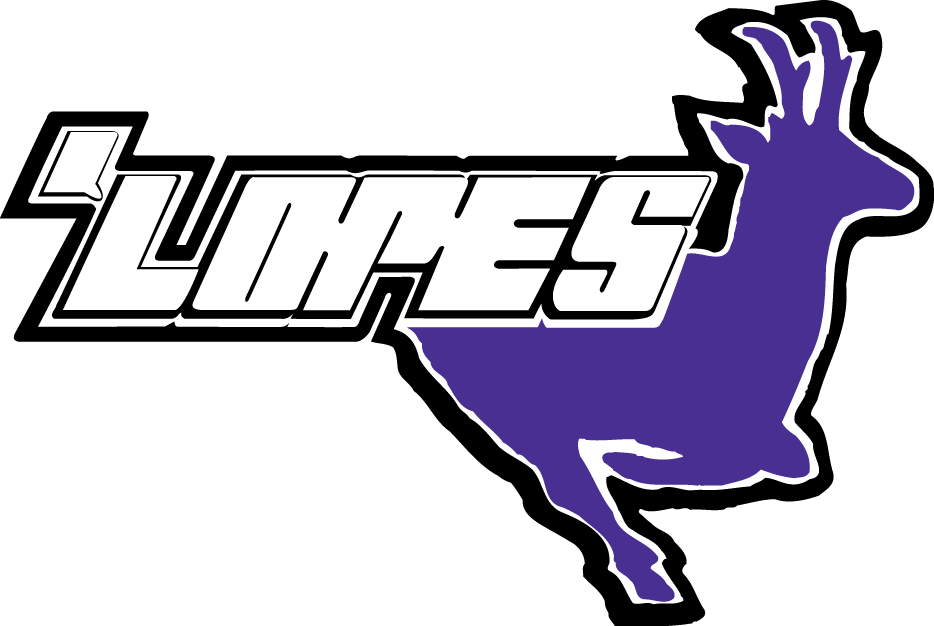 Grand Canyon Antelopes logos iron-ons